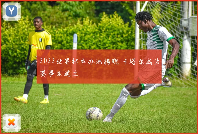 2022世界杯举办地揭晓 卡塔尔成为赛事东道主